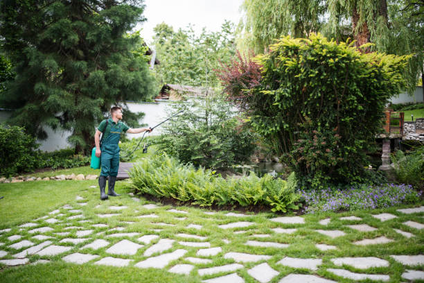Best Local Pest Control Services  in Seneca, MO