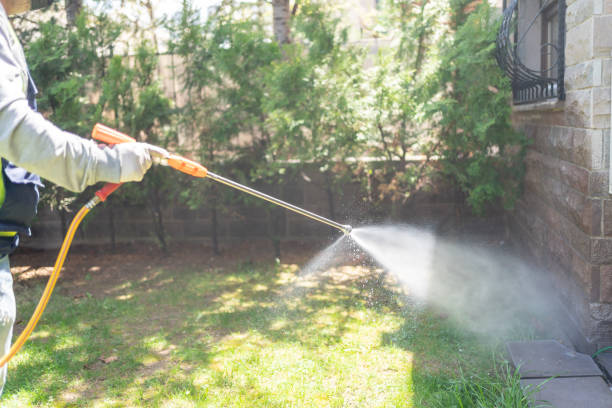 Best Insect Control  in Seneca, MO