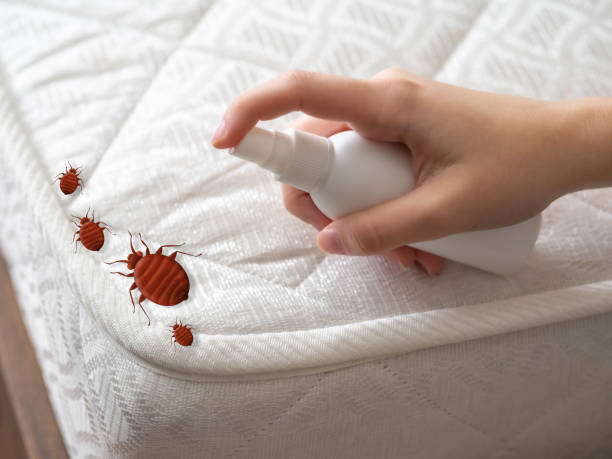 Reliable Seneca, MO Pest Control Solutions